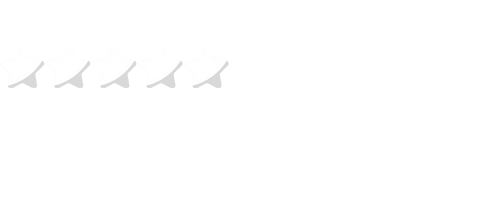 4,8 von 5 Sternen bei Google Bewertungen mit über 300 Bewertungen
